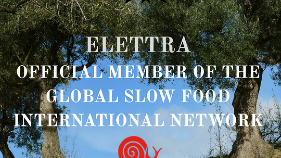 ELETTRA: ΕΠΙΣΗΜΟ ΜΕΛΟΣ ΤΟΥ ΠΑΓΚΟΣΜΙΟΥ ΔΙΚΤΥΟΥ SLOW FOOD INTERNATIONAL ELETTRA: ΕΠΙΣΗΜΟ ΜΕΛΟΣ ΤΟΥ ΠΑΓΚΟΣΜΙΟΥ ΔΙΚΤΥΟΥ SLOW FOOD INTERNATIONAL