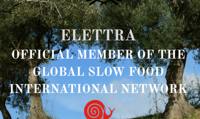 ELETTRA: ΕΠΙΣΗΜΟ ΜΕΛΟΣ ΤΟΥ ΠΑΓΚΟΣΜΙΟΥ ΔΙΚΤΥΟΥ SLOW FOOD INTERNATIONAL ELETTRA: ΕΠΙΣΗΜΟ ΜΕΛΟΣ ΤΟΥ ΠΑΓΚΟΣΜΙΟΥ ΔΙΚΤΥΟΥ SLOW FOOD INTERNATIONAL