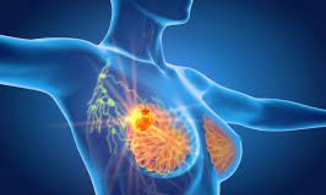 THE ACTION OF OLEOCANTHAL AGAINST BREAST CANCER