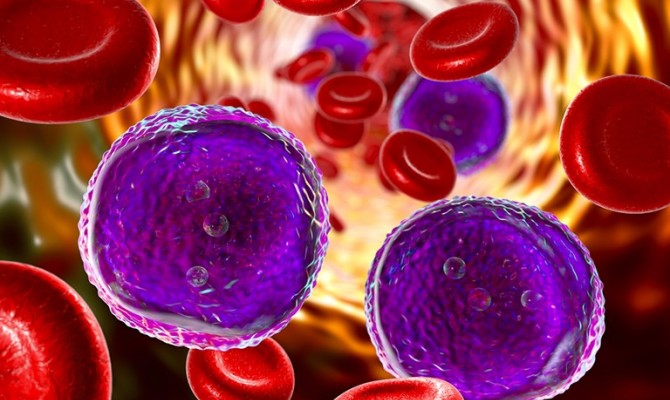 OLEOCANTHAL SIGNIFICANTLY REDUCES CANCER MARKERS IN PATIENTS WITH EARLY-STAGE CHRONIC LYMPHOCYTIC LEUKEMIA