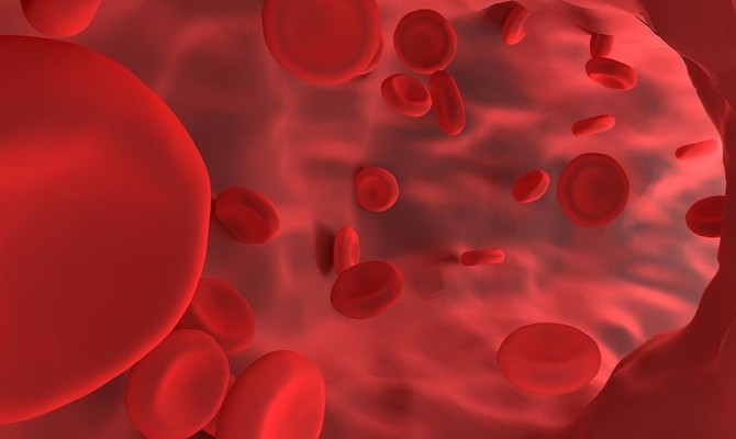 OLEOCANTHAL DEMONSTRATES ACUTE ANTI PLATELET EFFECTS IN HEALTHY MEN